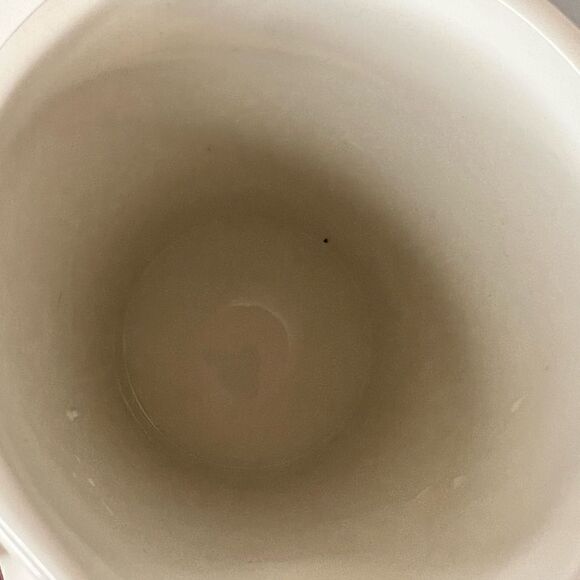 NEW Ciroa Oiseau 48oz Pitcher - Picture 6 of 6